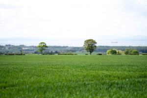 East Lothian's Hedgerows need your help. Photo / Scottish Government, Crown Copyright