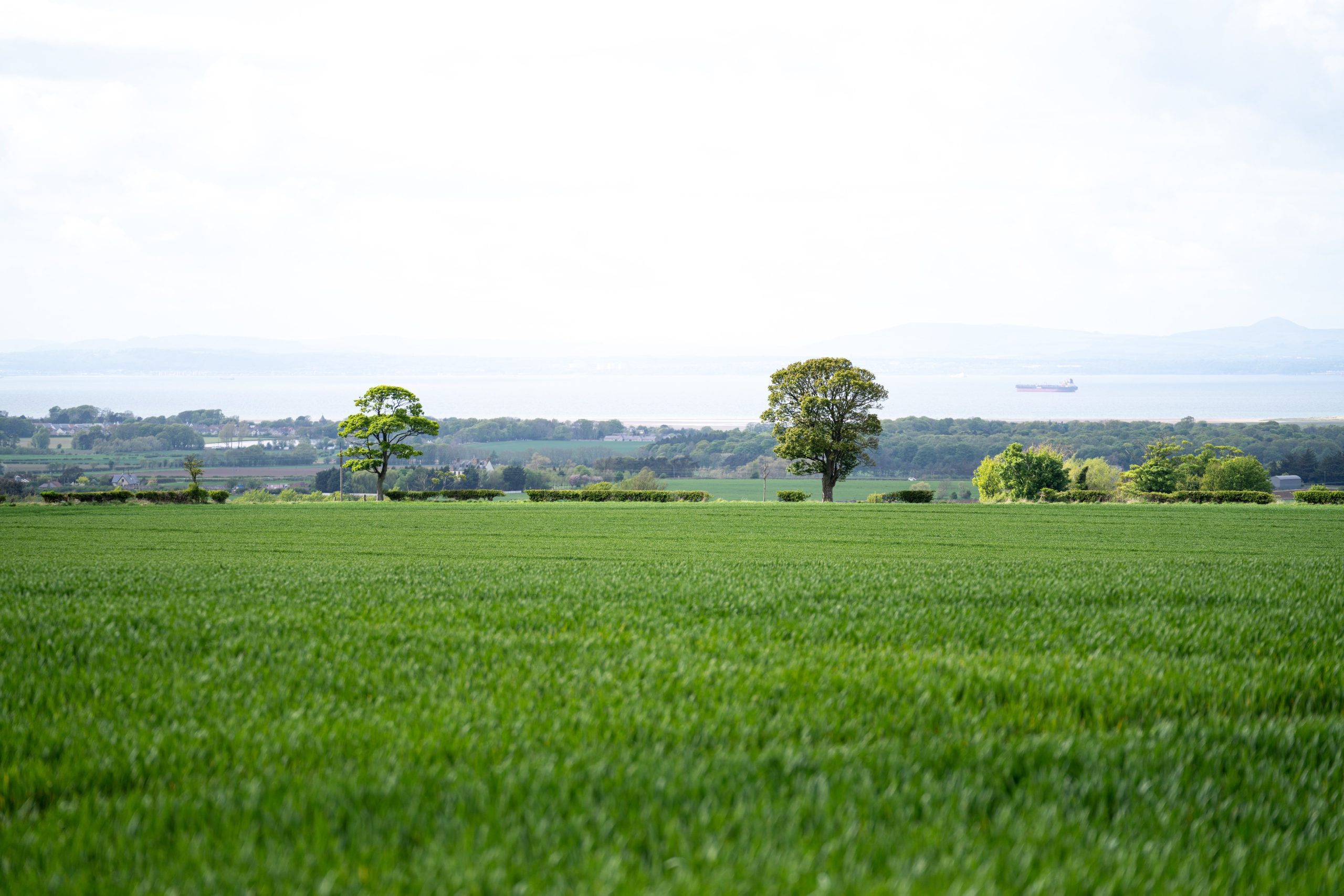 East Lothian's Hedgerows need your help. Photo / Scottish Government, Crown Copyright