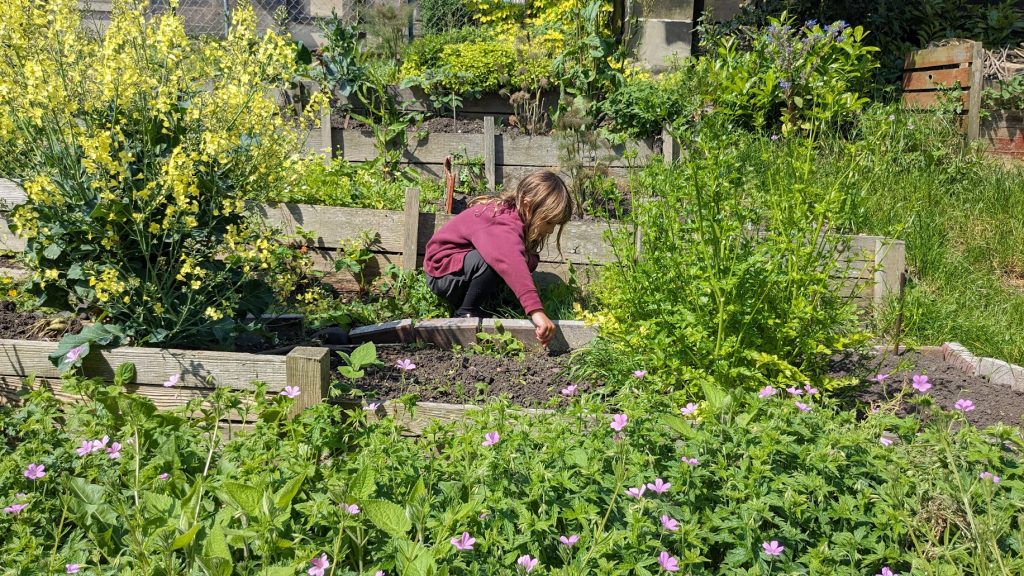 Seed Funding grants have supported over £10000 of action in East Lothian