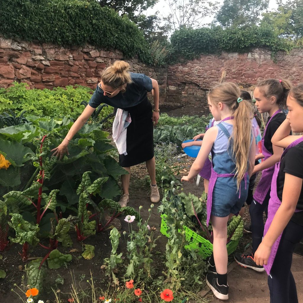 Ridge Backlands Garden-school food group