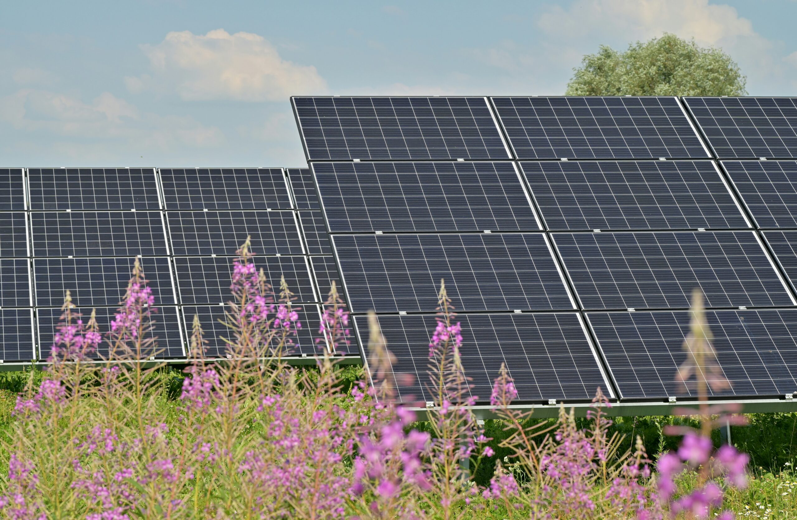 Community-owned solar projects. Photo / Andres Siimon, Unsplash