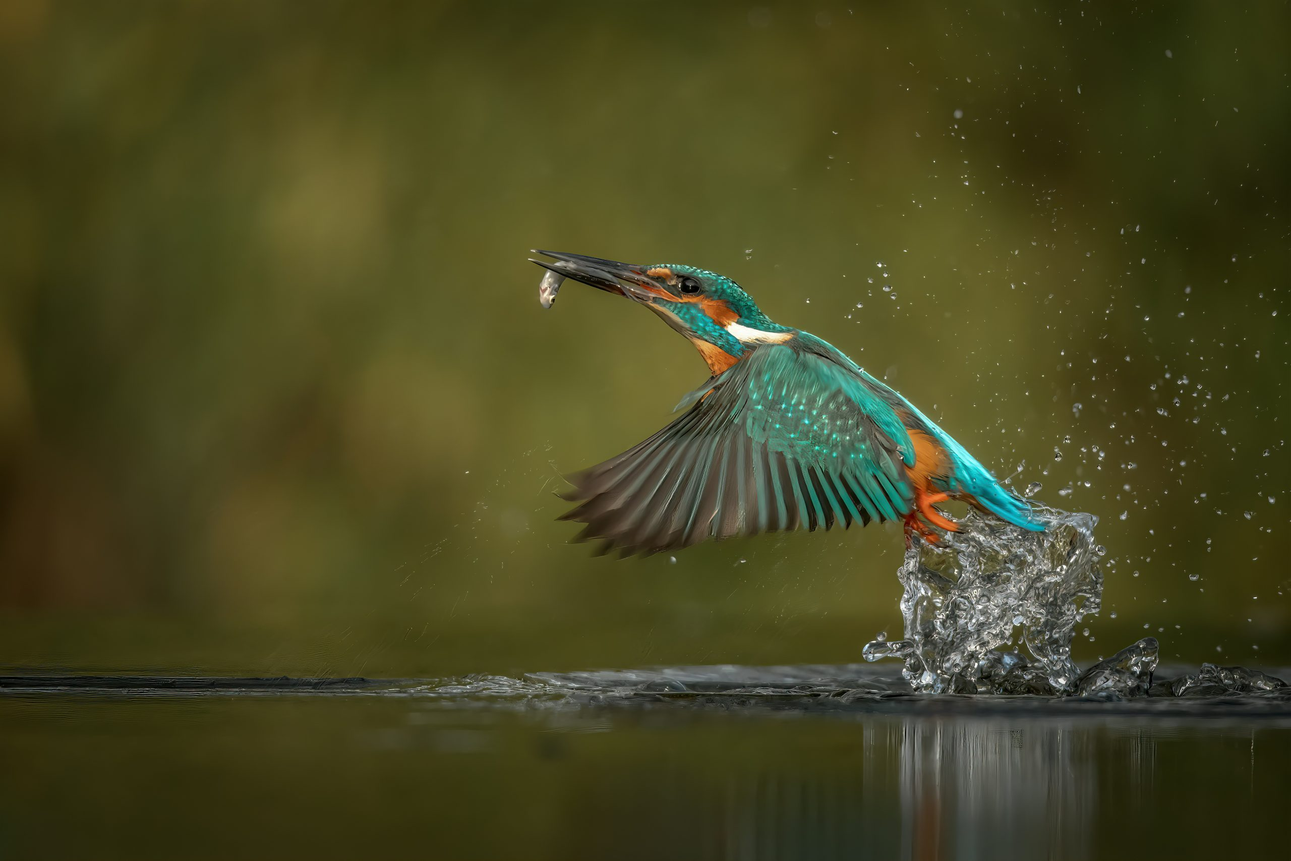 East Lothian River Connections brings together projects protecting our waterways. Photo: Vincent van Zalinge, Unsplash